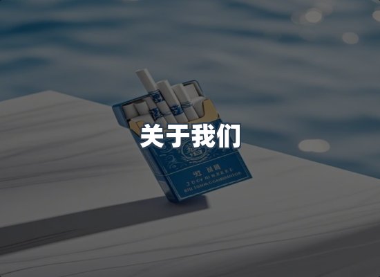 专业团队